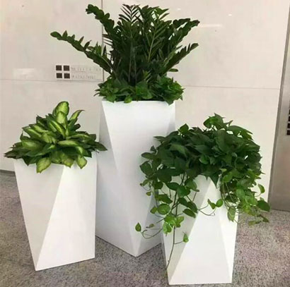 广州办公室绿植出租 大堂造景绿植 