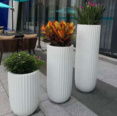 广州天河珠江新城绿植出租大型造景绿植盆栽