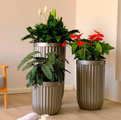 高端特大型绿植  红掌 白掌 竹芋组合系列