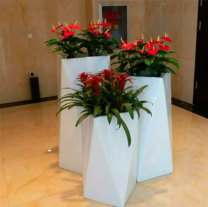 公司大厅特大型组合绿植 红色喜庆