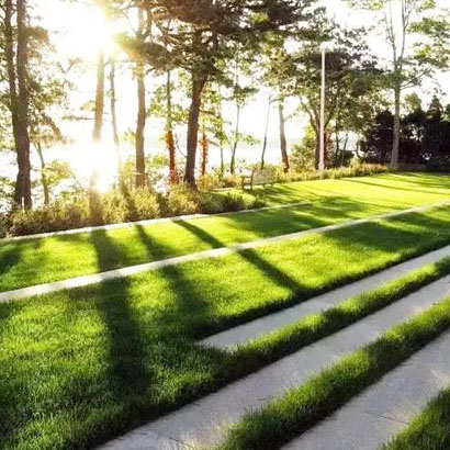  绿化草皮多少钱一个平方  广州施工铺装