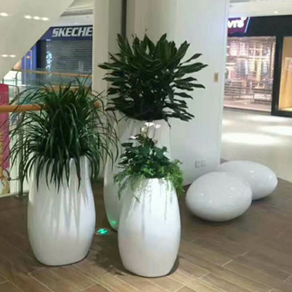 办公室绿植租赁之大型组合绿植盆栽