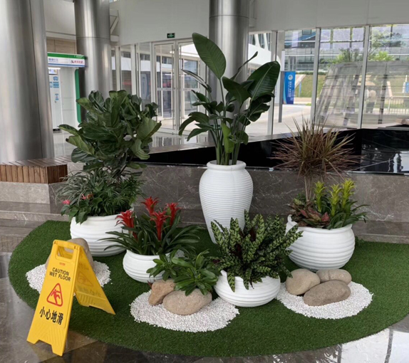 绿植养护上门服务已经成为一种新型服务行业